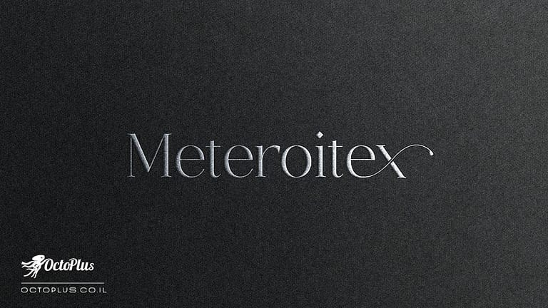 עיצוב לוגו - Meteroitex