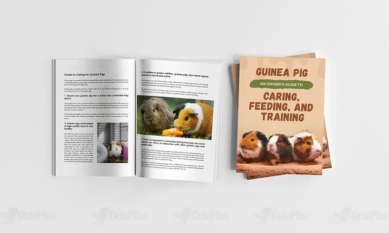 ליד מגנט - Guinea Pig An Owner's Guide To Caring